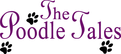 The Poodle Tales logo